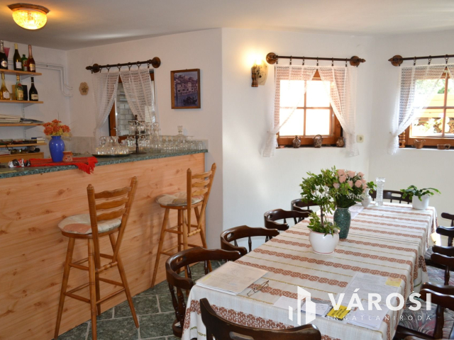 Csopakon, patakparti nívós ingatlan eladó!