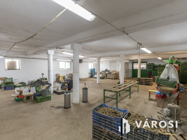 Makói, mezőgazdasági tanya/telephely eladó!