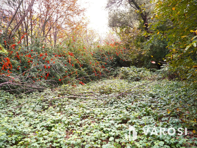 Győr Révfaluban 2 telek egyben eladó!