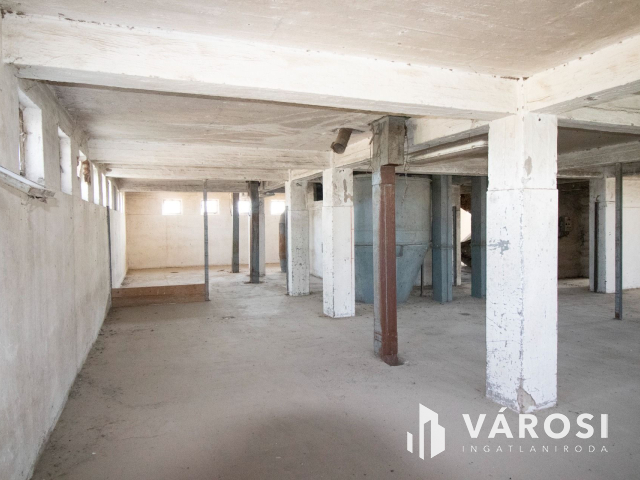 Kiváló adottságú telephely, vasúti iparvágánnyal