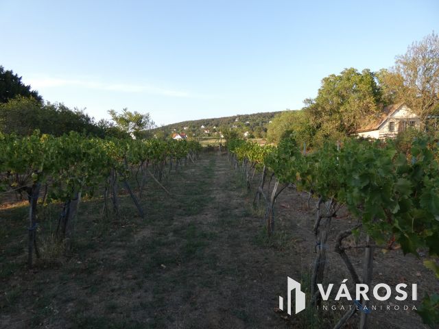 Ecséri templomrom (Révfülöp) közelében nyaraló eladó