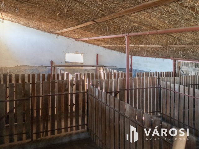 Farm ahol gazdálkodhat