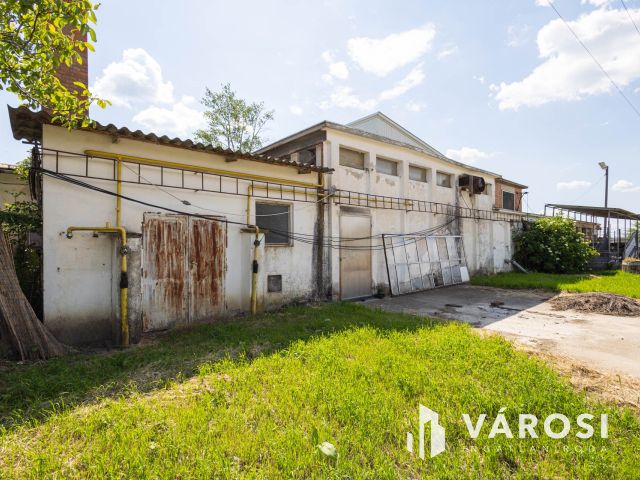 Vágóhíd és húsfeldolgozó üzem