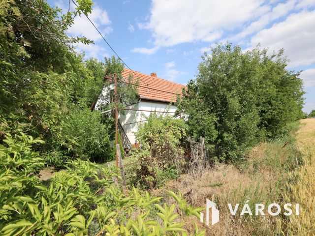 Eladó tanya Gyulán a Kálvárián