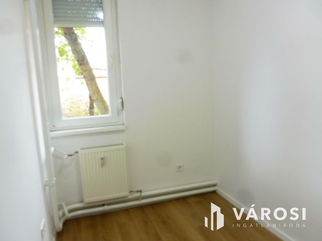 Igényes kis lakás üzleti tevékenységre kiadó.