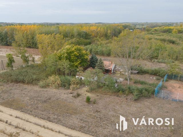 Vadkerti tó mellett teljes a nyugalom