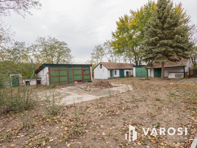 Vadkerti tó mellett teljes a nyugalom