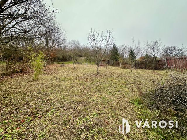 Rózsafa úton felújítandó családi ház eladó!