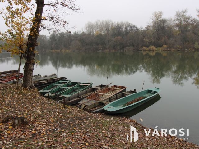 Mártélyi csendélet