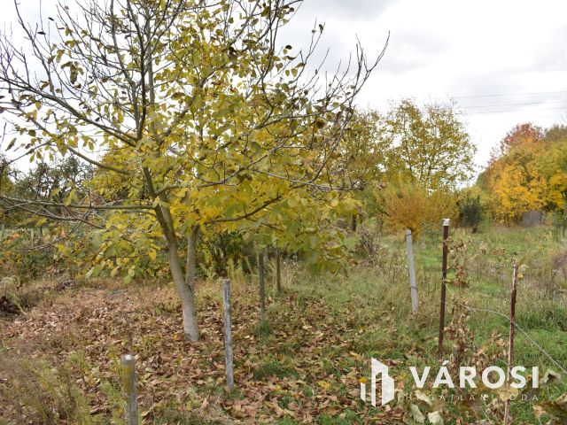 4661 m2 építési telek eladó Gyulán!