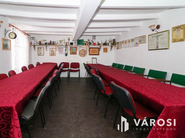 Eladó borászati ingatlan Csongrád közelében