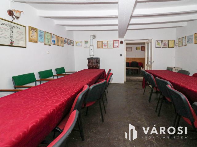 Eladó borászati ingatlan Csongrád közelében