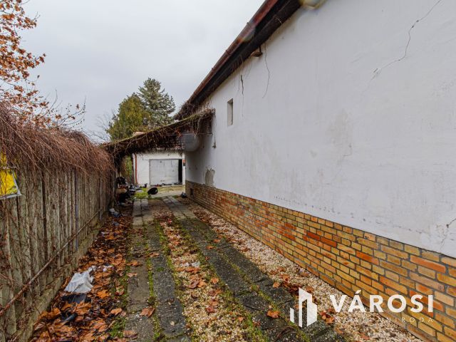 Méretes telek a füvészkert közelében