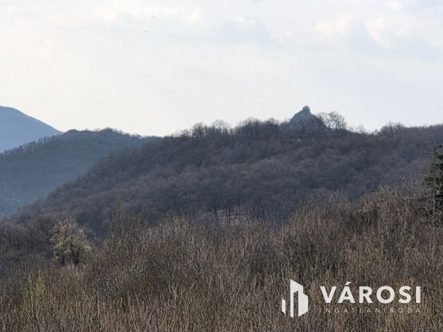 Összkomfortos ház, gyönyörű panorámával