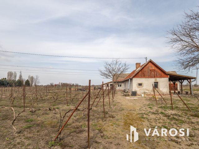 Ahol a munka meghozza gyümölcsét – szó szerint